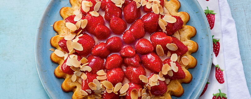 3 20 Erdbeer Obstboden 1920x760px 11bb3891