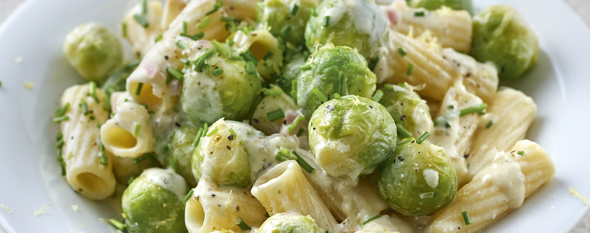 6 17 Tortiglioni Mit Zitronen Rosenkohl 1920x760px