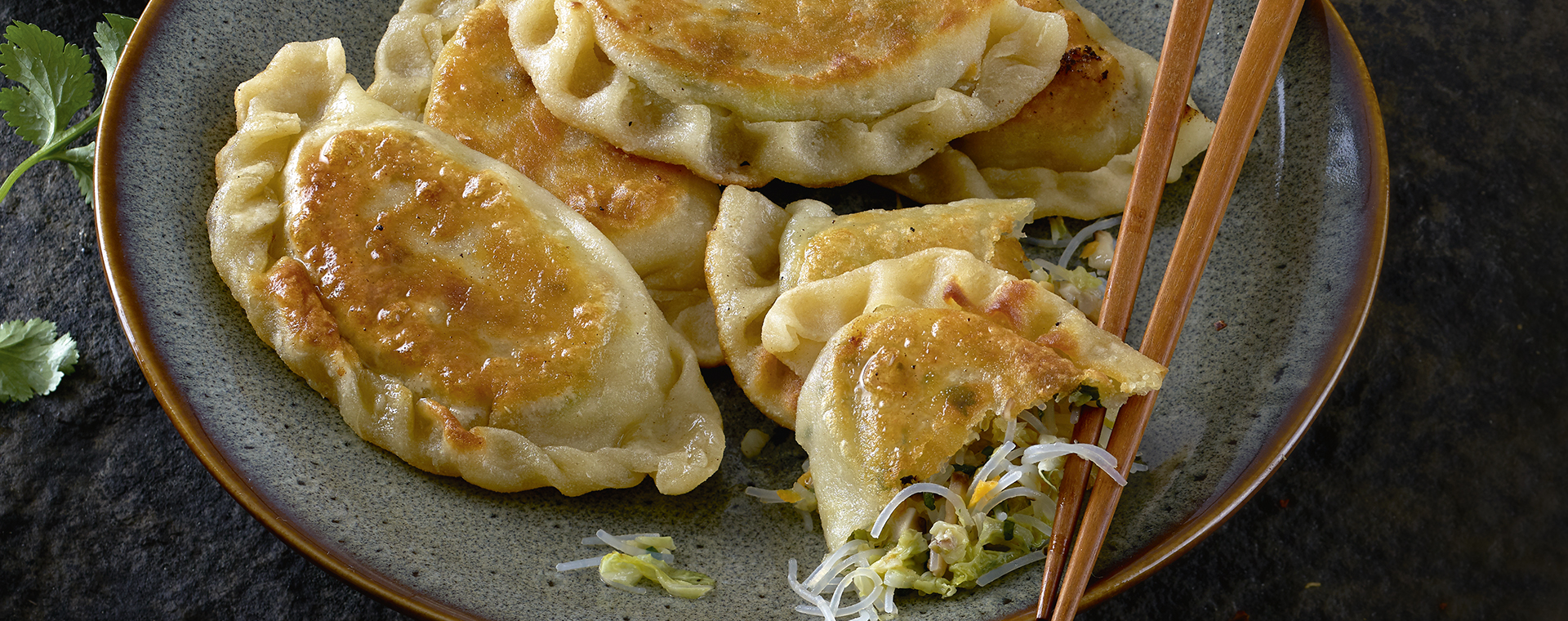 2 20 Gebratene Teigtaschen Mit Pikantem Dip 1920x760px