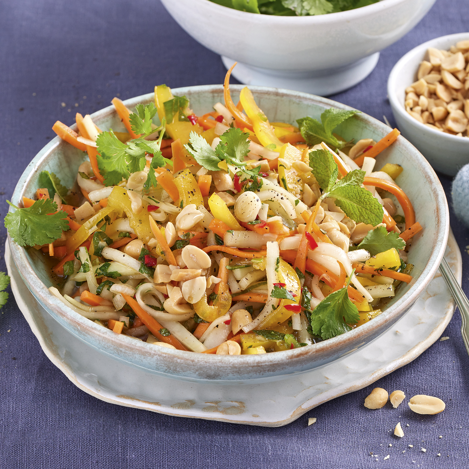 4 22 Asiatischer Kohlrabisalat Mit Erdnuessen 1600x1600px