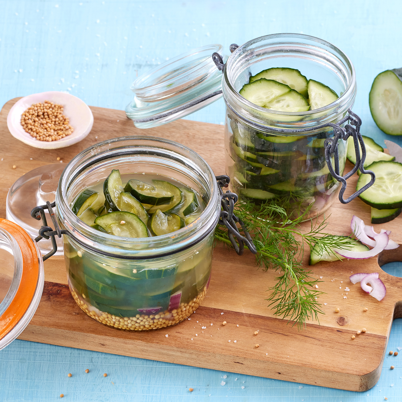 5 24 Salzgurken 1600x1600px