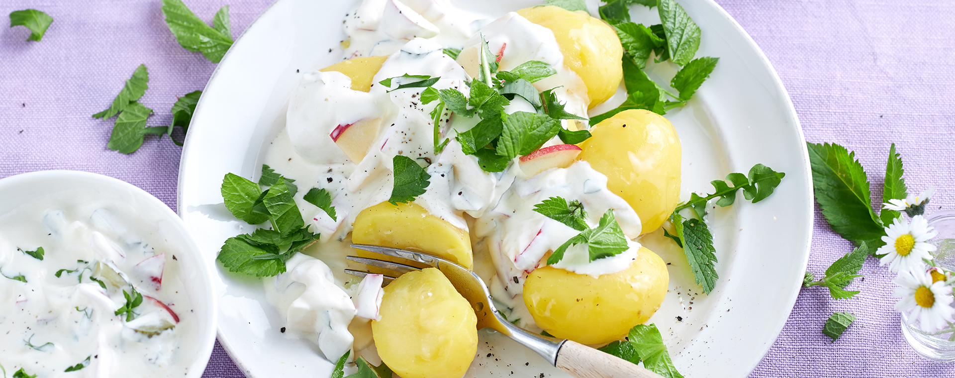 Pellkartoffeln mit pikanter Wildkräutersoße auf einem Teller, garniert mit frischen Kräutern.