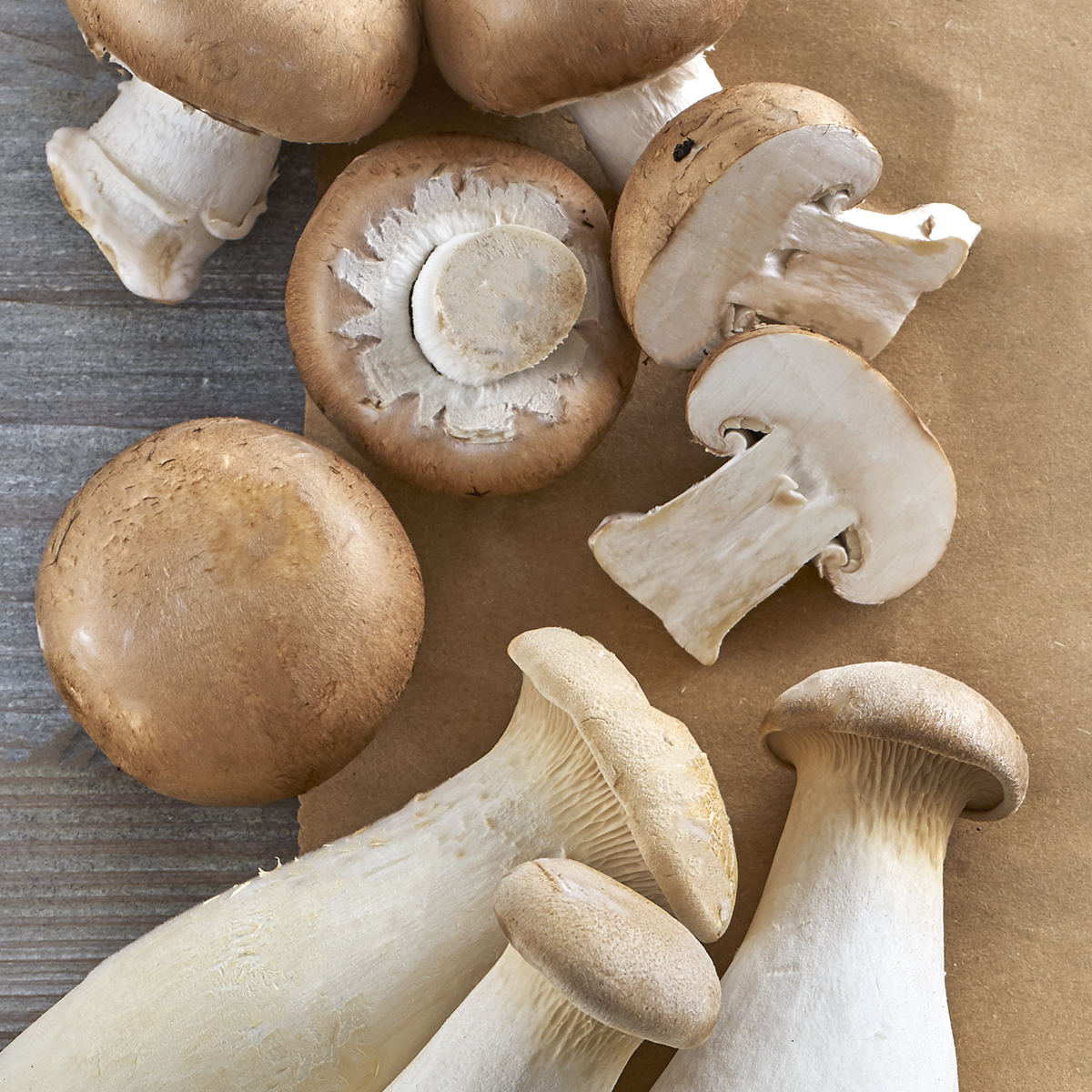 Pilze WK 5 20 Koestlich Vegetarisch Themen 1200x1200px